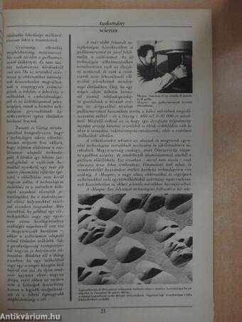 La gazzetta 1987. december