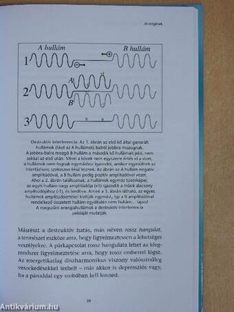 Szeretetteljes kapcsolatok