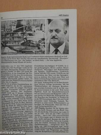 Meyers Jahresreport 1985