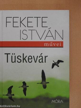 Tüskevár