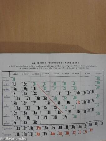 Az emberi test I-II.