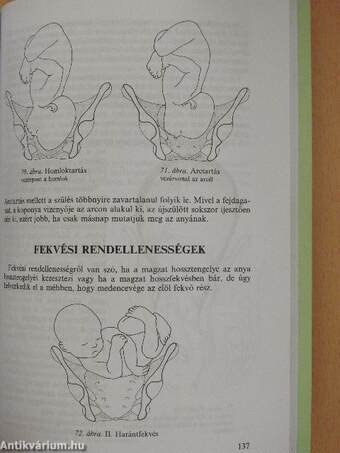 Klinikai ismeretek a szülészet-nőgyógyászat köréből ápolónők részére