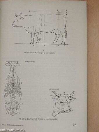 Állattenyésztés IV.