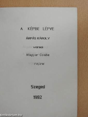 A képbe lépve