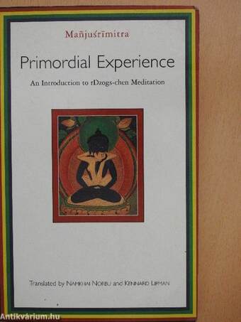 Primordial Experience