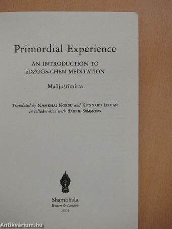 Primordial Experience