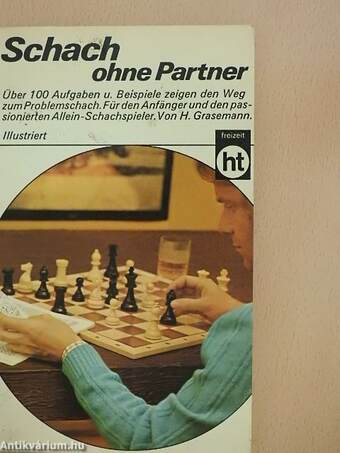 Schach ohne Partner