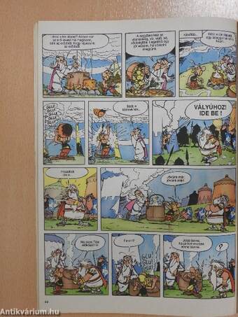 Asterix a gall