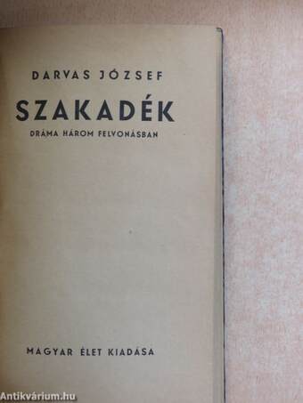 Szakadék