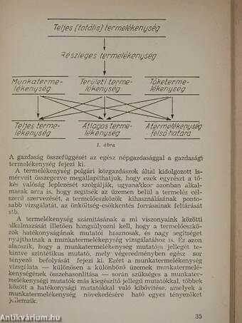 A munka termelékenysége a mezőgazdaságban