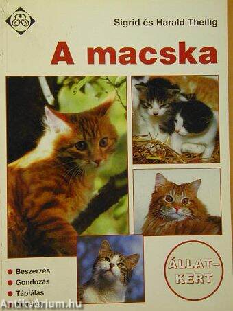 A macska 