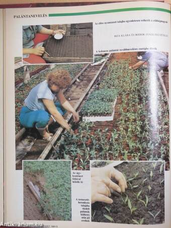Kertészet és Szőlészet 1991. január-december