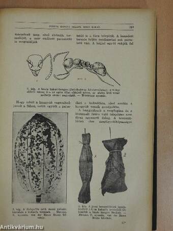 Természettudományi Közlöny 1929. január-december/Pótfüzetek a Természettudományi Közlönyhöz 1929. január-december