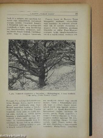 Természettudományi Közlöny 1929. január-december/Pótfüzetek a Természettudományi Közlönyhöz 1929. január-december