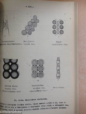 Talajtan I. (töredék)