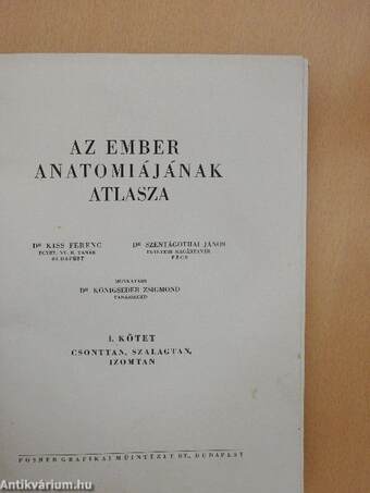 Az ember anatomiájának atlasza I. (töredék)