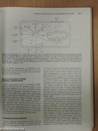 Diseases of the Nervous System - Clinical Neurobiology II. (töredék)