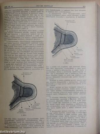 Orvosi Hetilap 1929. július-december (fél évfolyam)/Az orvosi gyakorlat kérdései 1929/1-52.