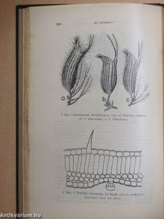 Botanikai közlemények 1930/1-6.