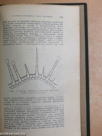 Botanikai közlemények 1930/1-6.