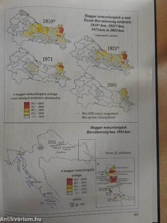 Kisebbségi magyar közösségek a 20. században