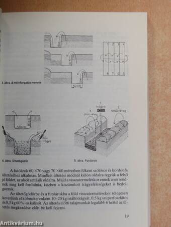 Ősztől őszig a kertbarátoknál