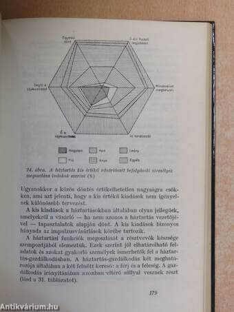 A magyar háztartások gazdálkodási modellje