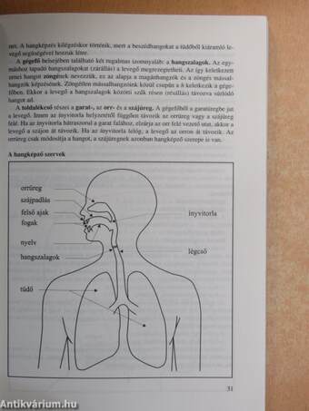 Érettségi témakörök, tételek - Magyar nyelv