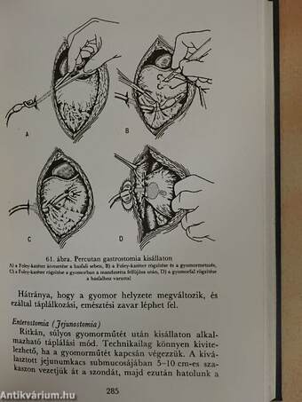 Állatorvosi anaesthesiologia