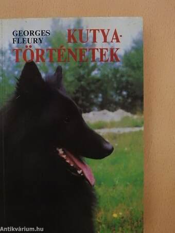 Kutyatörténetek