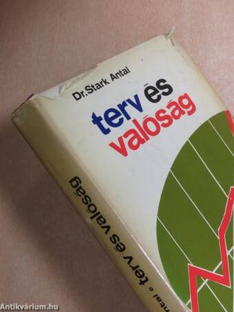 Terv és valóság