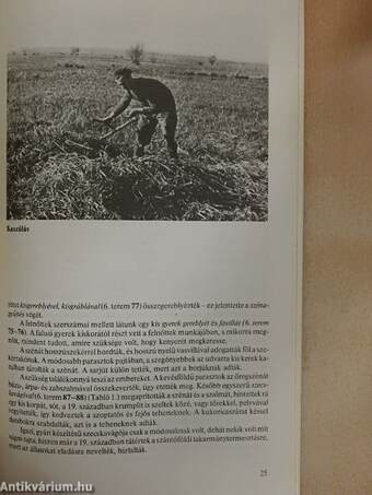 A földművelés története