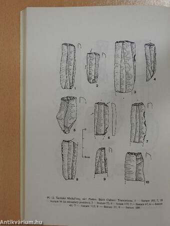 Neolithic and eneolithic chipped stone industries from Šarišské Michal'any, eastern Slovakia