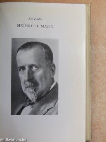 A német irodalom a XX. században