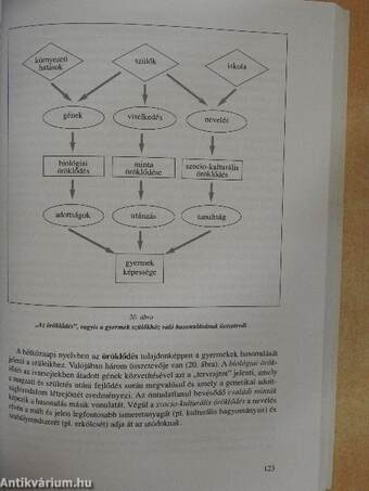 Felkészülés a családi életre