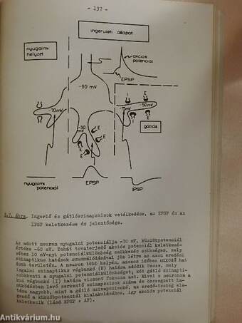 Alkalmazott élettan és kórélettan I. (töredék)