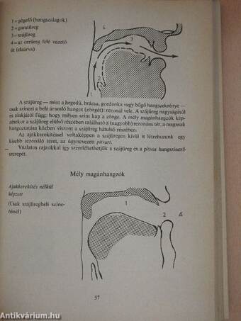 Beszédművelés