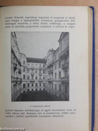 A Budapesti Ujságirók Egyesülete 1909-ik évi almanachja