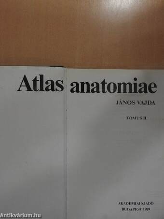 Atlas anatomiae II. (töredék)