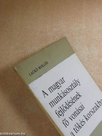 A magyar munkásosztály fejlődésének fő vonásai a tőkés korszakban