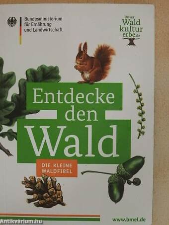 Entdecke den Wald