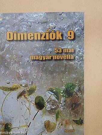 Dimenziók 9