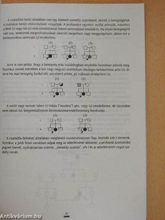 Optimális Családtervezési Szolgáltatás