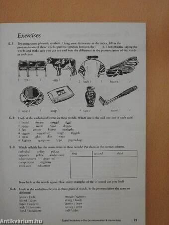 English Vocabulary in Use - Pre-intermediate and intermediate