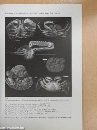 Scripta Geologica March 2009