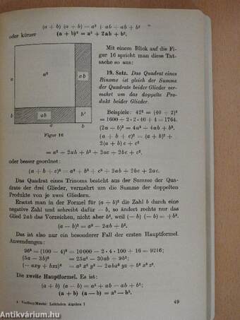 Leitfaden der Algebra 1.