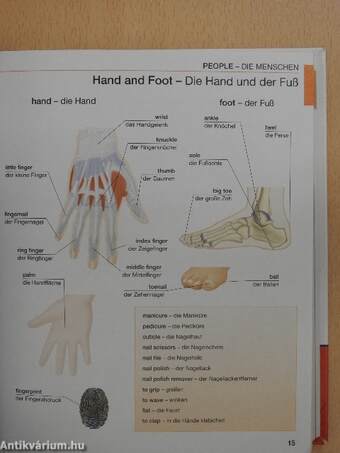 Zeige-Bild Wörterbuch