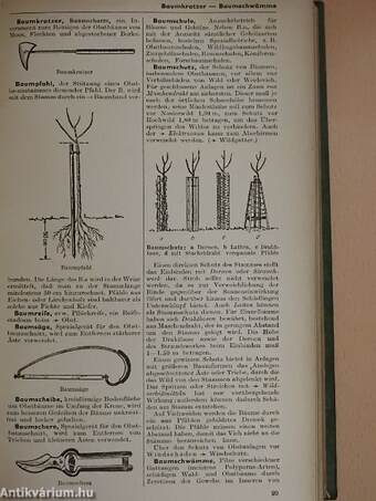 Brockhaus ABC der Landwirtschaft 1 (töredék)