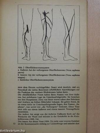 Krampfadern und Thrombose