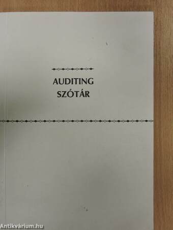 Auditing szótár